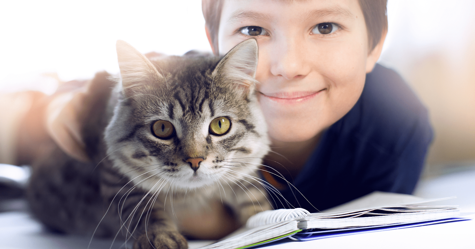 de-regresso-rotina-de-aulas-ou-de-trabalho-dicas-para-ajudar-o-seu-gato